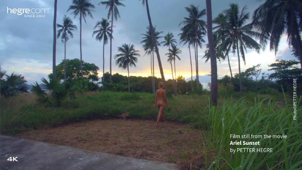 Ariel Sunset #35