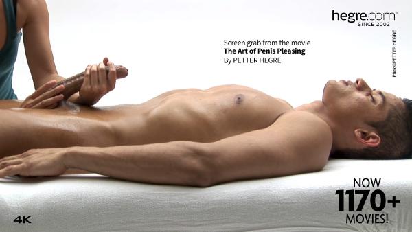 The Art Of Penis Pleasing #13