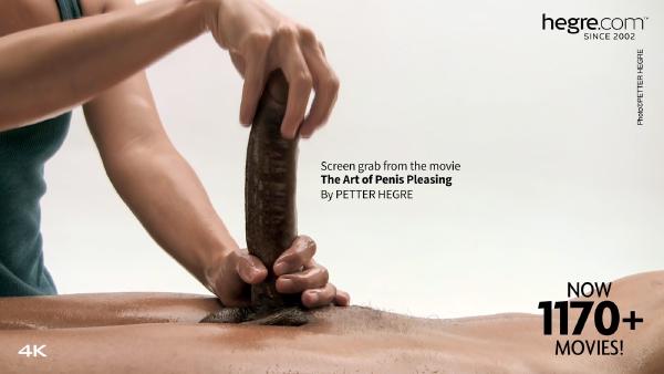 The Art Of Penis Pleasing #26